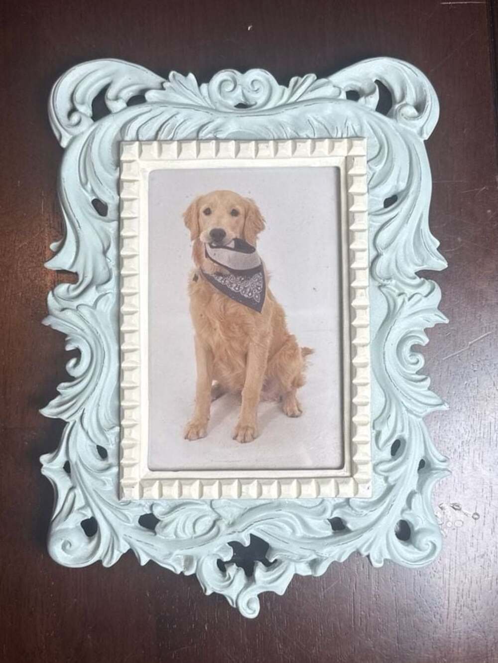 Cynthia Rowley New York Ornate Rococo Pale Blue 4x6 Resin Picture Frame